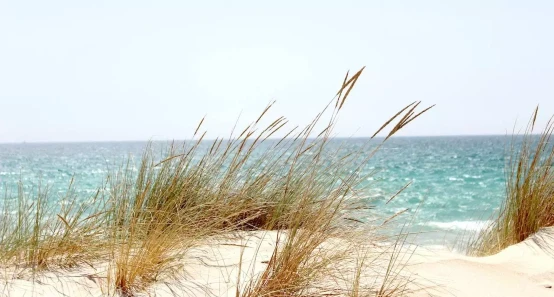 ferie med havudsigt i Kerteminde